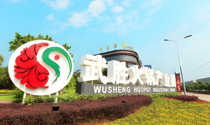 ”为链 推动产业发展新“味”来麻将胡了app武胜县：以“食