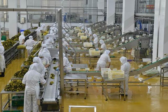 ——“熊猫王子”厚料火锅底料正式上市PG麻将胡了模拟器中国泡菜城又出新品(图2)
